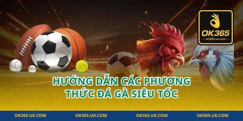Hướng dẫn các phương thức đá gà siêu tốc