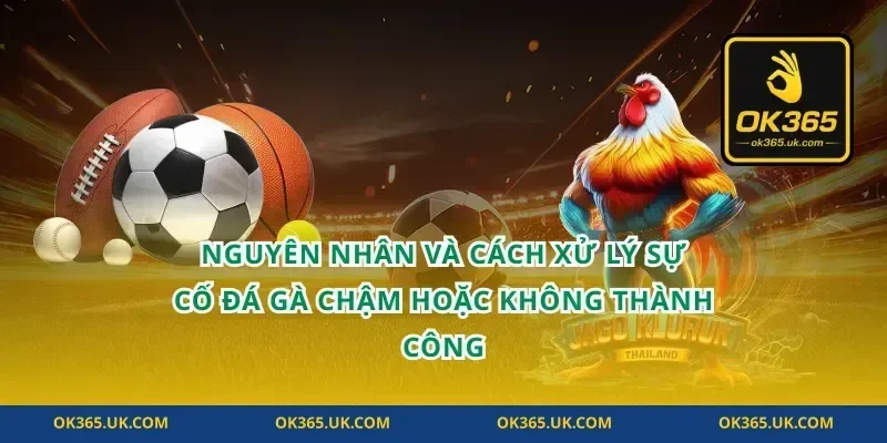 Nguyên nhân và cách xử lý sự cố đá gà chậm hoặc không thành công