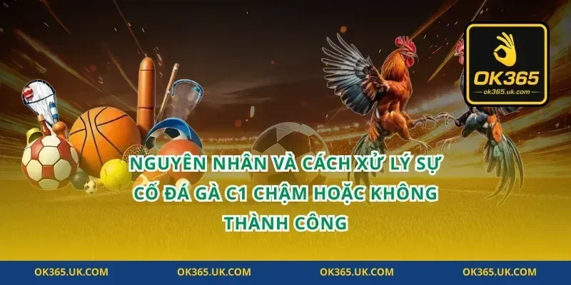 Nguyên nhân và cách xử lý sự cố đá gà c1 chậm hoặc không thành công