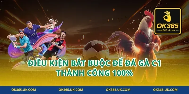 Điều kiện bắt buộc để đá gà c1 thành công 100%