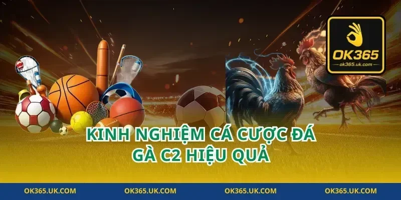 Kinh Nghiệm Cá Cược Đá Gà C2 Hiệu Quả