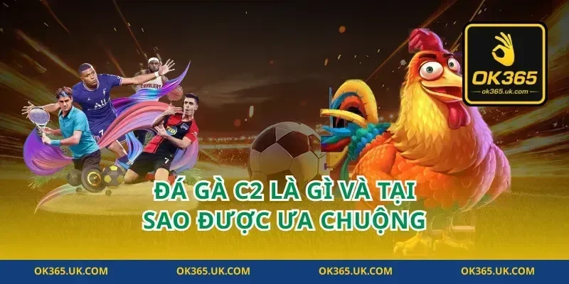 Đá Gà C2 Là Gì Và Tại Sao Được Ưa Chuộng