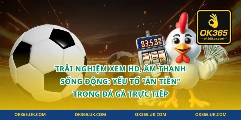 Trải nghiệm xem HD, âm thanh sống động: yếu tố “ăn tiền” trong đá gà trực tiếp