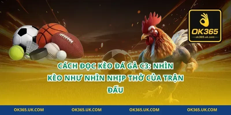 Cách đọc kèo đá gà C3: nhìn kèo như nhìn nhịp thở của trận đấu