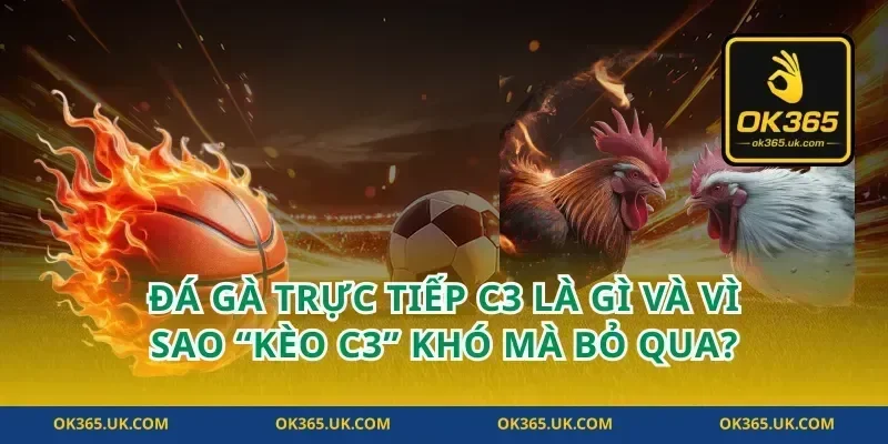 Đá gà trực tiếp C3 là gì và vì sao “kèo C3” khó mà bỏ qua?