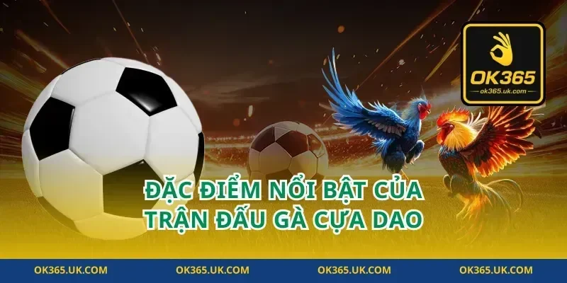 Đặc Điểm Nổi Bật Của Trận Đấu Gà Cựa Dao