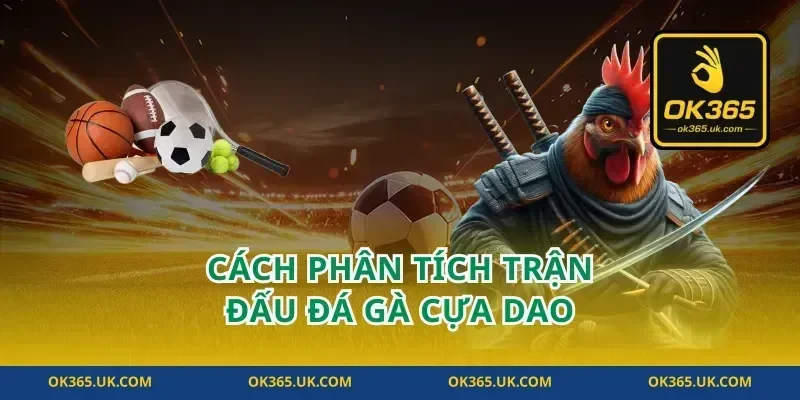 Cách Phân Tích Trận Đấu Đá Gà Cựa Dao