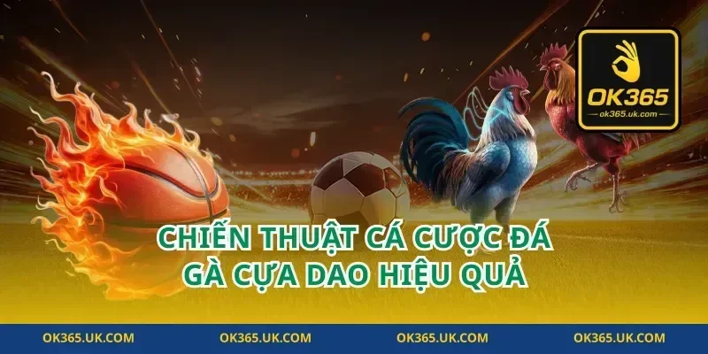 Chiến Thuật Cá Cược Đá Gà Cựa Dao Hiệu Quả