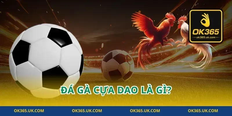 Đá Gà Cựa Dao Là Gì?