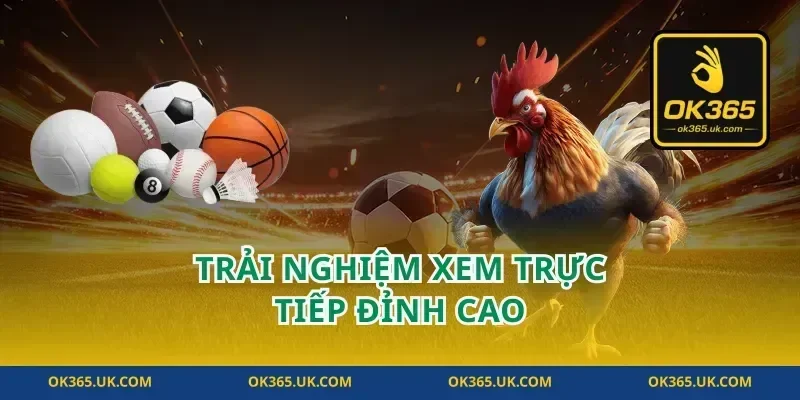 Trải Nghiệm Xem Trực Tiếp Đỉnh Cao