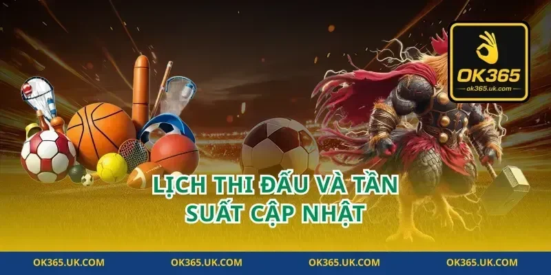 Lịch Thi Đấu Và Tần Suất Cập Nhật