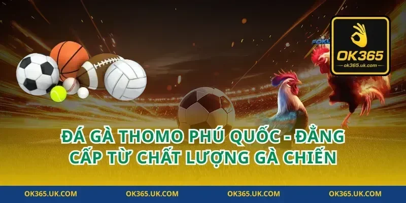 Đá Gà Thomo Phú Quốc - Đẳng Cấp Từ Chất Lượng Gà Chiến