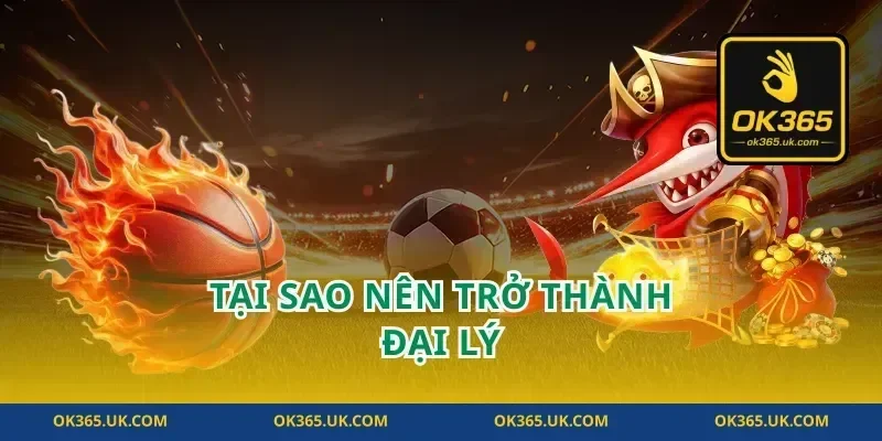 Tại Sao Nên Trở Thành Đại Lý