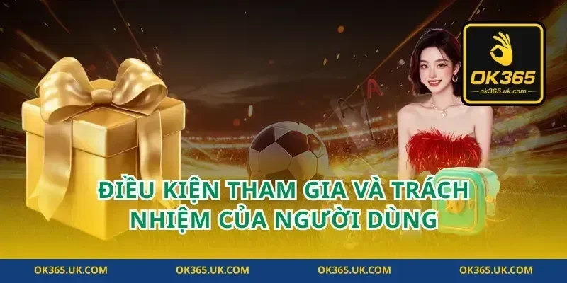Điều kiện tham gia và trách nhiệm của người dùng