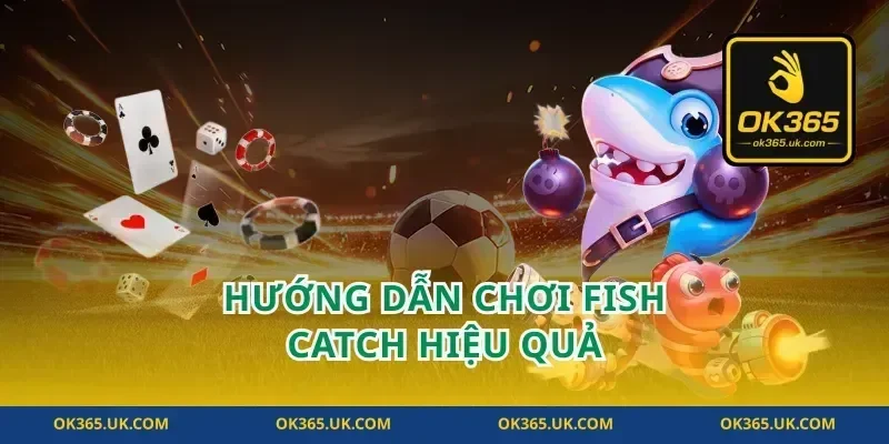 Hướng Dẫn Chơi Fish Catch Hiệu Quả