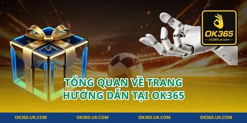 Tổng Quan Về Trang Hướng Dẫn Tại OK365