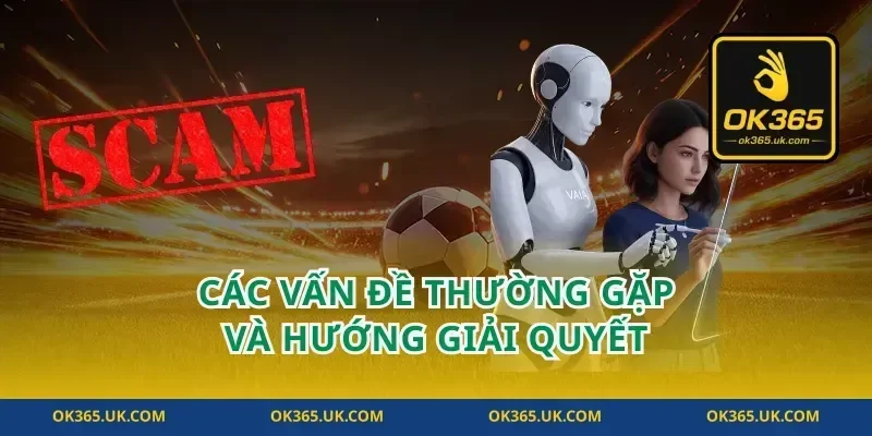 Các Vấn Đề Thường Gặp và Hướng Giải Quyết