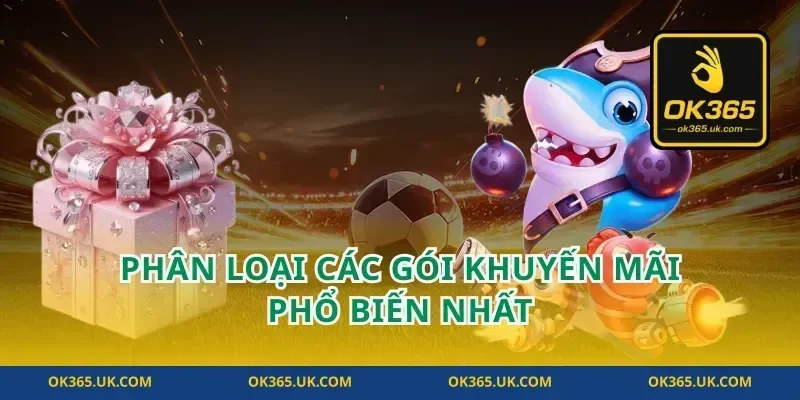 Phân loại các gói khuyến mãi phổ biến nhất
