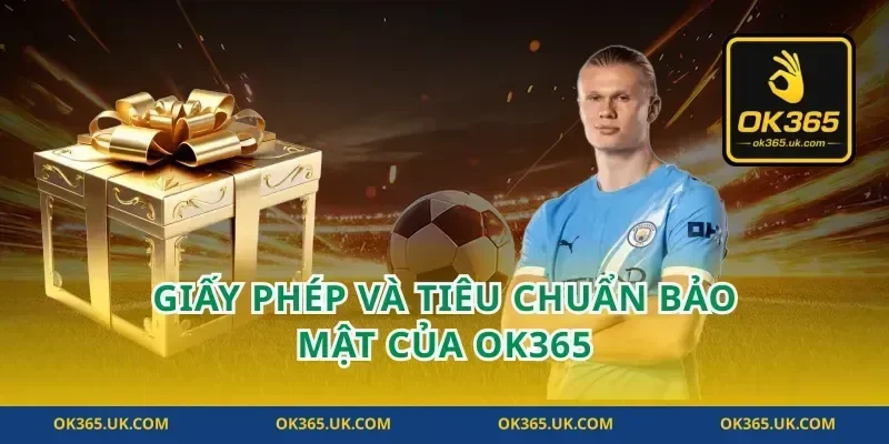 Giấy phép và tiêu chuẩn bảo mật của OK365