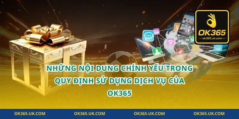 Những nội dung chính yếu trong quy định sử dụng dịch vụ của OK365