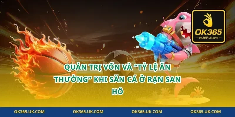 Quản trị vốn và “tỷ lệ ăn thưởng” khi săn cá ở rạn san hô