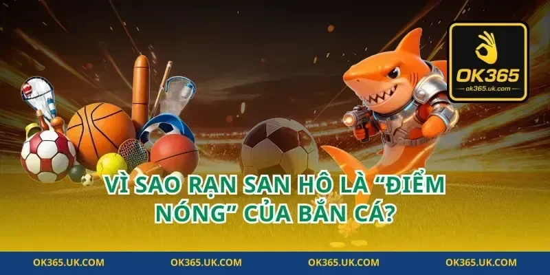 Vì sao rạn san hô là “điểm nóng” của bắn cá?