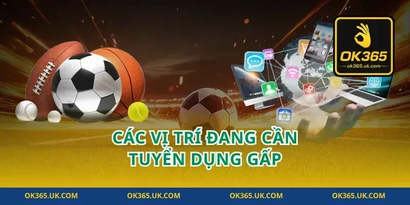Các Vị Trí Đang Cần Tuyển Dụng Gấp
